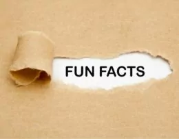 Fun facts brown paper
