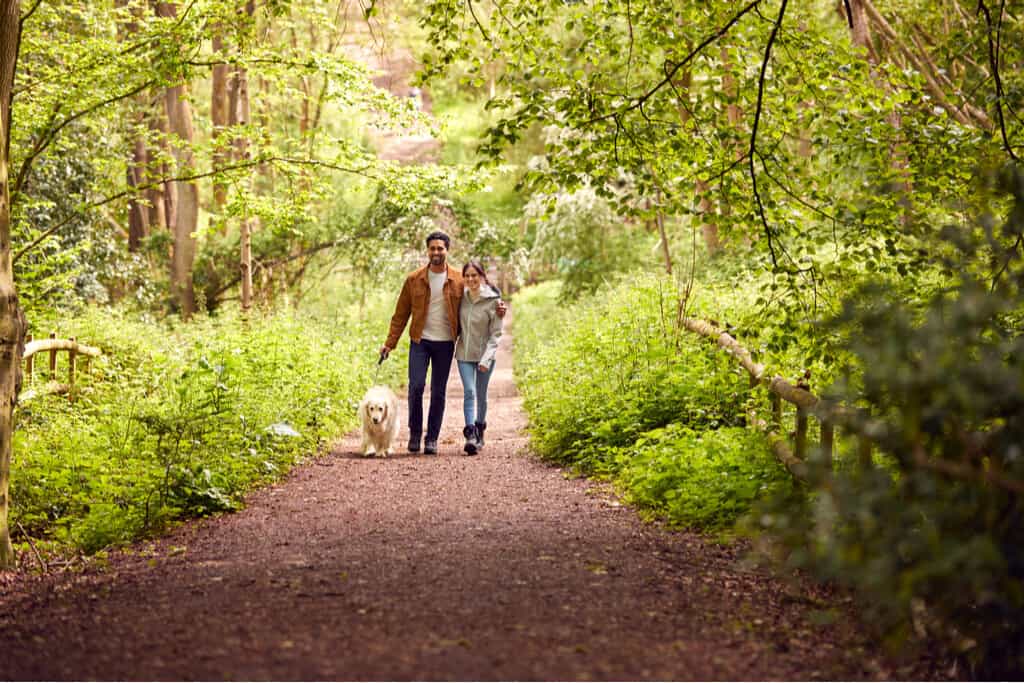 Forest Holidays Near Kent Forest Holidays Near Kent